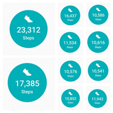 Over 10,000 steps for 10 days