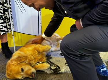 gagan petting dog